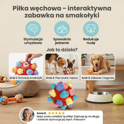 Interaktywna Piłka Węchowa dla Psa – Stymulacja i Radość w Każdym Dniu 3