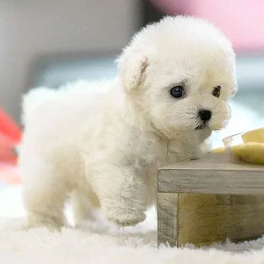 PupSnugs Pluszowy Pies – Realistyczny Towarzysz do Przytulania 0