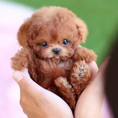 PupSnugs Pluszowy Pies – Realistyczny Towarzysz do Przytulania 2