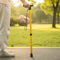 Promenadkäpp aluminium - lätt hopfällbar höjdjusterbar